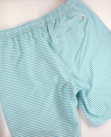 Buddy Suit - Lagoon Stripe in Blue